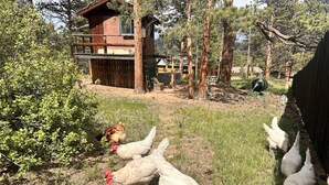 A rustic wooden building with a fenced yard. - Mountain Retreat | Hot Tub, AC & Wildlife By RMNP (Estes Park)