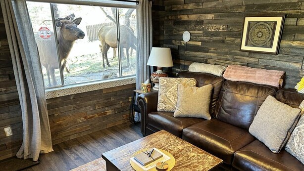 A cozy living room with a leather sofa, a wooden coffee table, and a window with a view of a cow. - Mountain Retreat | Hot Tub, AC & Wildlife By RMNP (Estes Park)