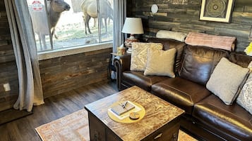 TV, fireplace, books