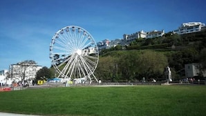 Una noria grande en un parque con zonas verdes y edificios al fondo.