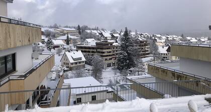 An approximately 80m² apartment with a 40m² terrace and a great view