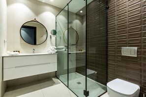Shower, hair dryer, towels - Dhotel (Ma'ale Adumim)