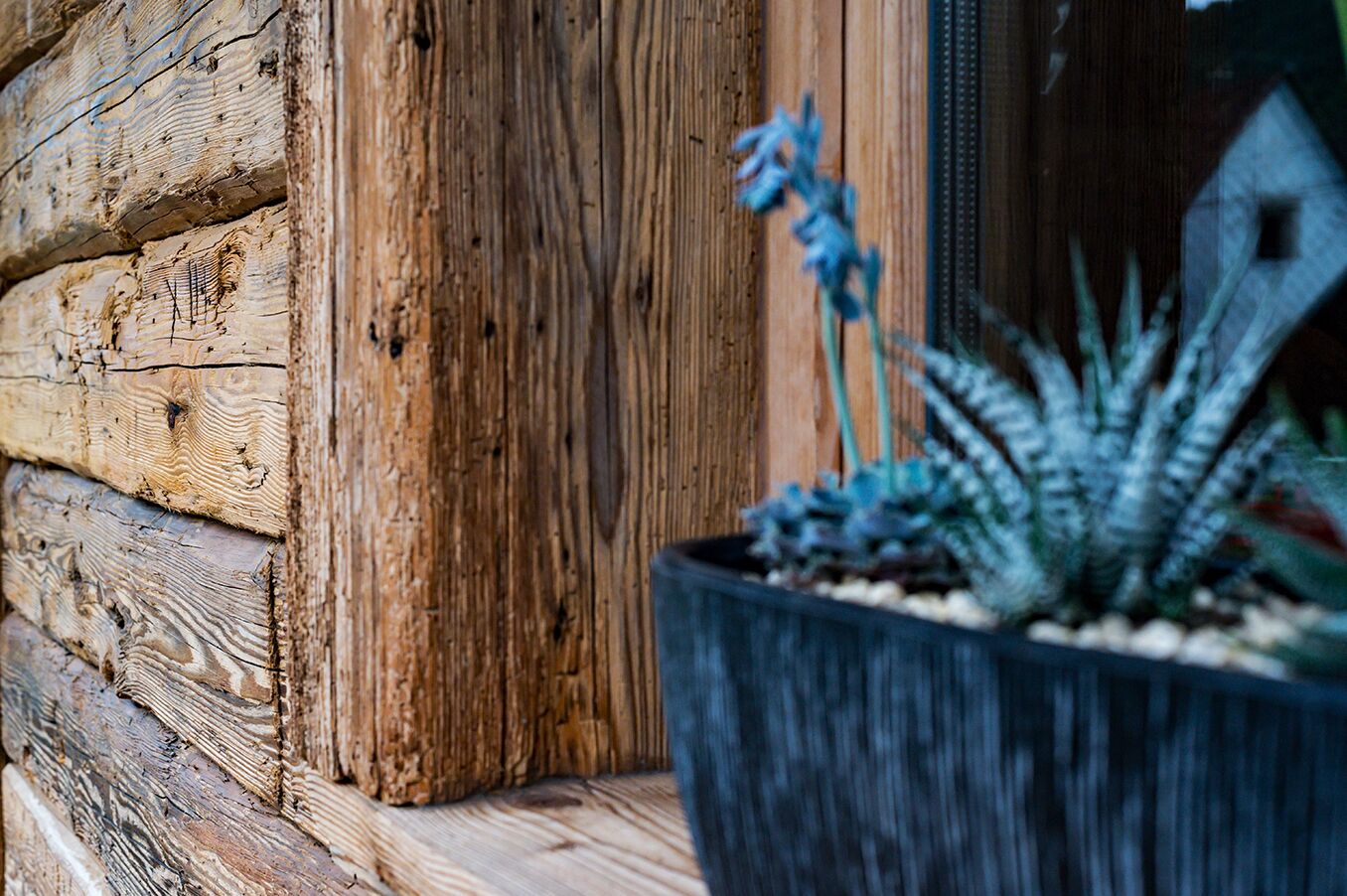 A wooden log cabin with a potted plant on the porch.