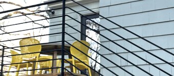 Warm Luxury in walkable downtown Durham (2.5 mi. from Five Pts. Plaza)