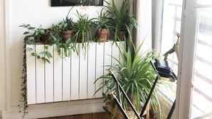 Ein Zimmer mit Heizkörper, Topfpflanzen, einem Kunstwerk mit schwarzem Rahmen und einem Vorhang vor dem Fenster.