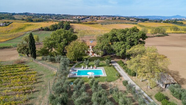 A villa with a swimming pool surrounded by vineyards and trees.