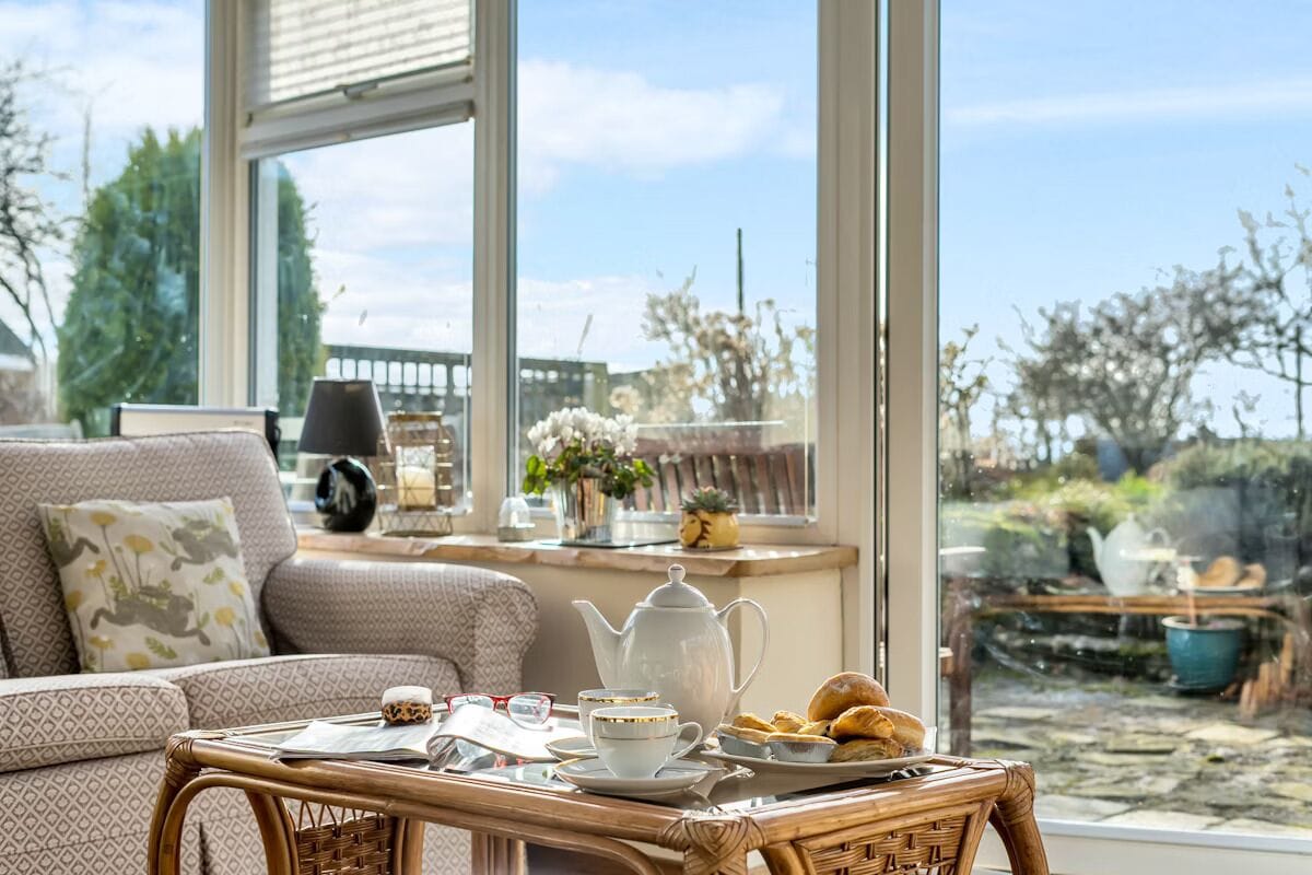 Smart TV, fireplace, DVD player, books