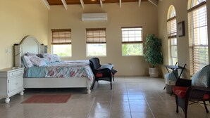A spacious bedroom with a large bed, a ceiling fan, and multiple windows providing natural light. - Luxury Living with beautiful ocean and sunset views (Frederiksted)