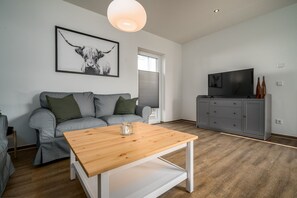 Télévision, cheminée, livres, chaîne hi-fi