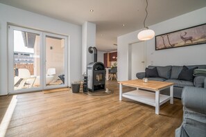 Télévision, cheminée, livres, chaîne hi-fi