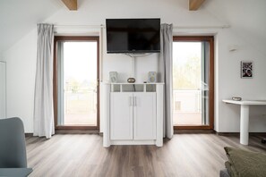 Télévision, cheminée, lecteur de DVD, livres