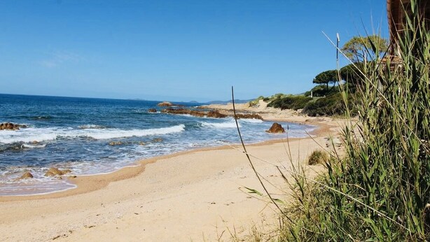 Ein Strand mit klarem Himmel, ruhiger Brandung und Felsformationen.