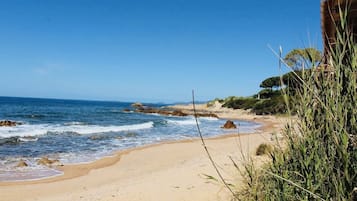 Plage, chaises longues, serviettes de plage