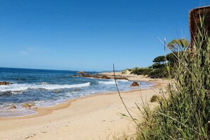 Una spiaggia con cielo sereno, onde e vegetazione.
