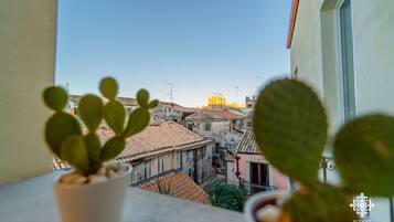 Stadsuitzicht vanuit accommodatie