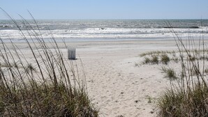 En sandstrand med vågor, högt gräs och en soptunna.