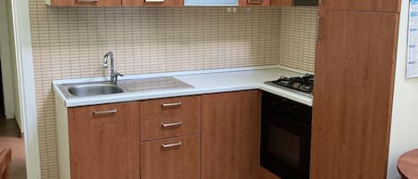 Fridge, oven, stovetop, cookware/dishes/utensils