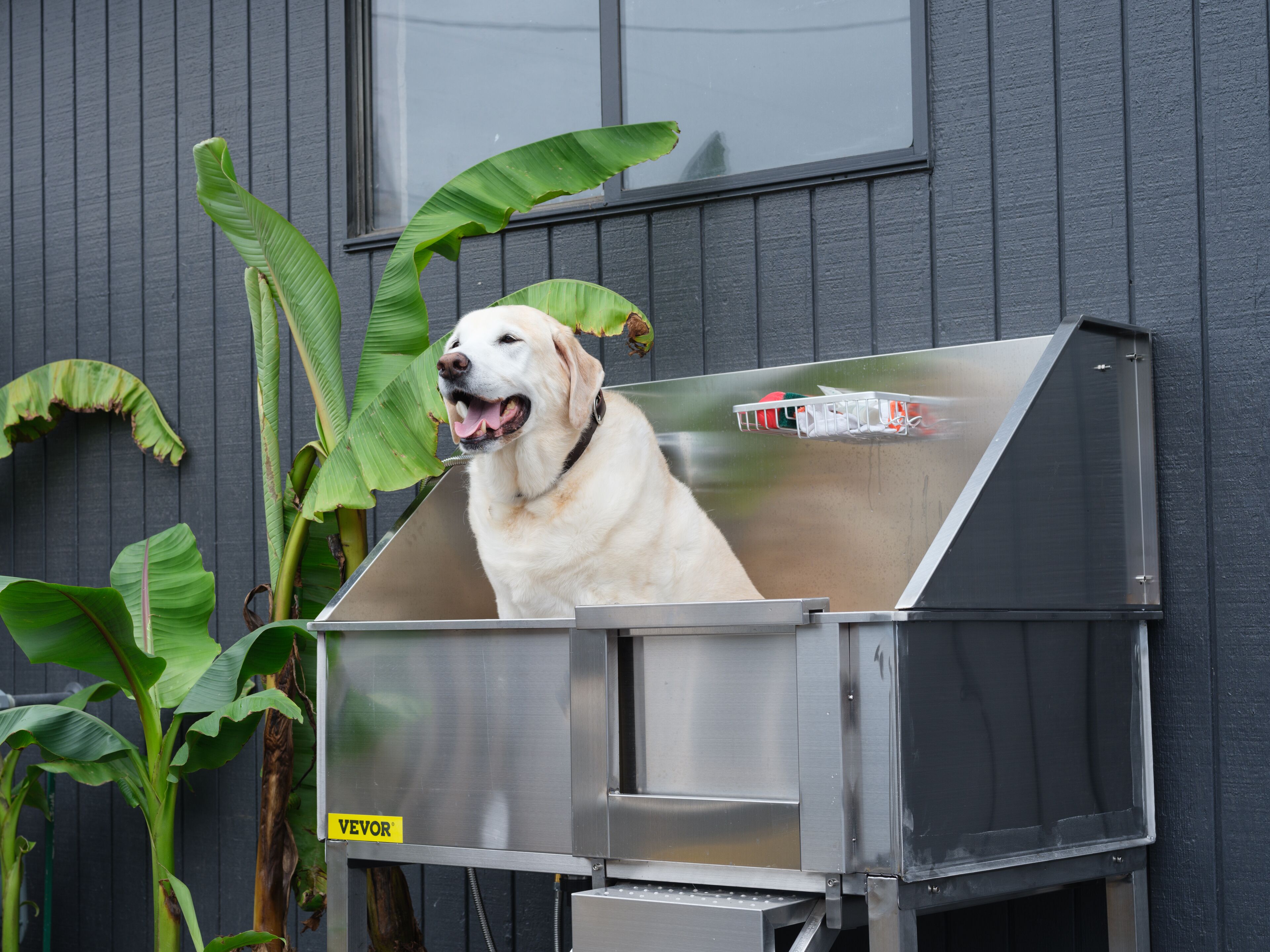 pet-friendly amenities