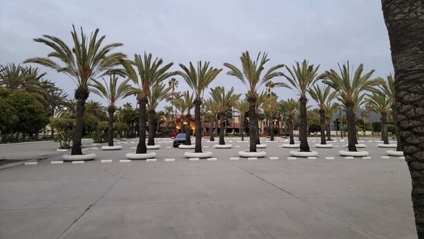 A spacious outdoor area with palm trees arranged in a grid pattern, surrounded by a low stone wall. - Hotel Paraíso Las Palmas (Ensenada)