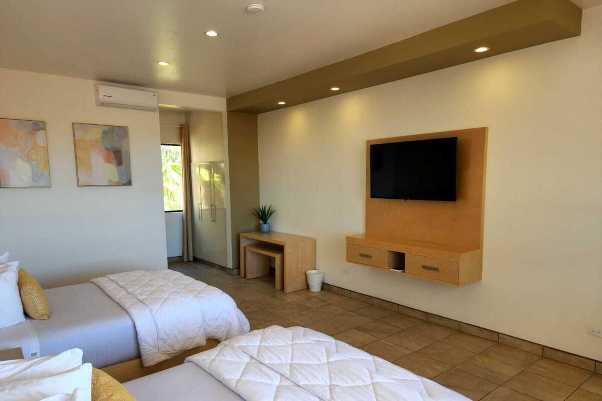 A hotel room with two beds, a TV mounted on the wall, and a small table with a plant.
