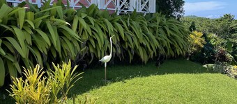 Cabin style family home, great views, 15mins from renown beaches in Port Antonio