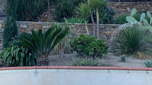 Un jardín ajardinado con diversas plantas y un muro de piedra.