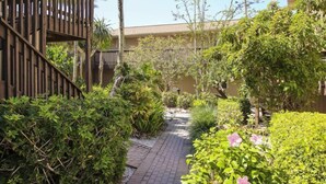 A pathway surrounded by lush greenery and a wooden structure. - Blind Pass E103 (Sanibel)