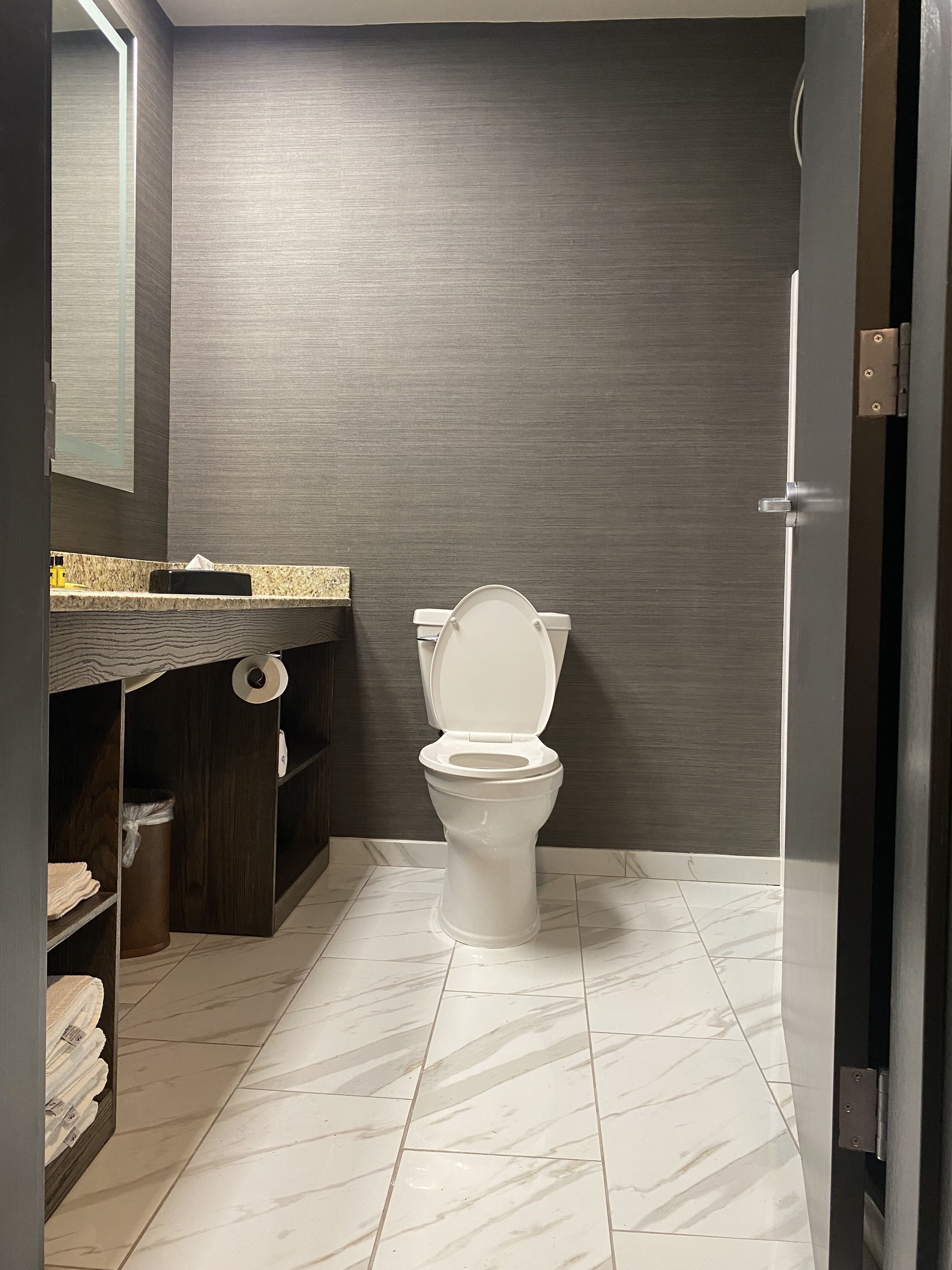 Ein Badezimmer mit Toilette, Waschbecken und Spiegel.