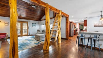 Smart TV, fireplace, books