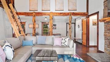 Smart TV, fireplace, books