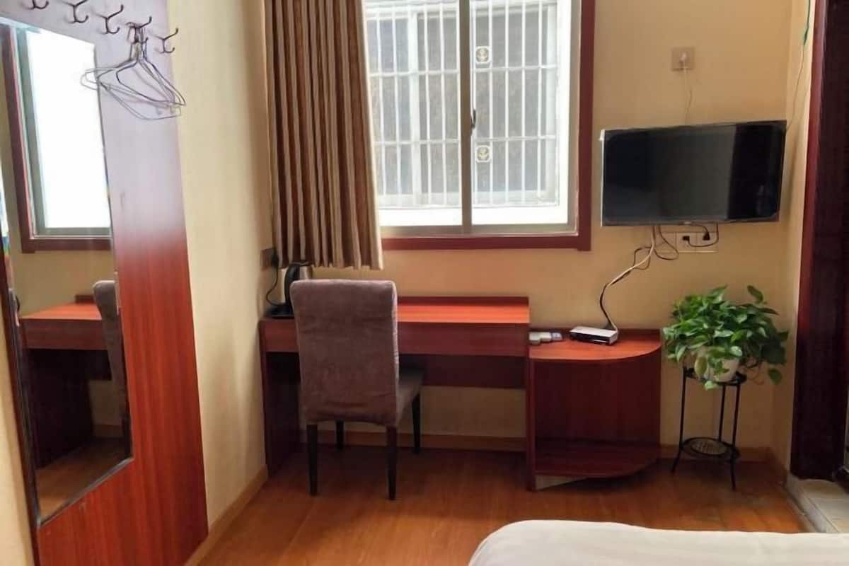 Ein Hotelzimmer mit Schreibtisch, Stuhl, Fernseher und einer Zimmerpflanze.