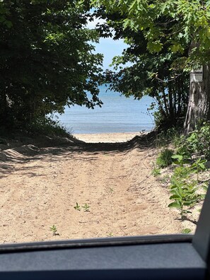 A beach with a sandy shore, surrounded by trees, and a body of water in the background.