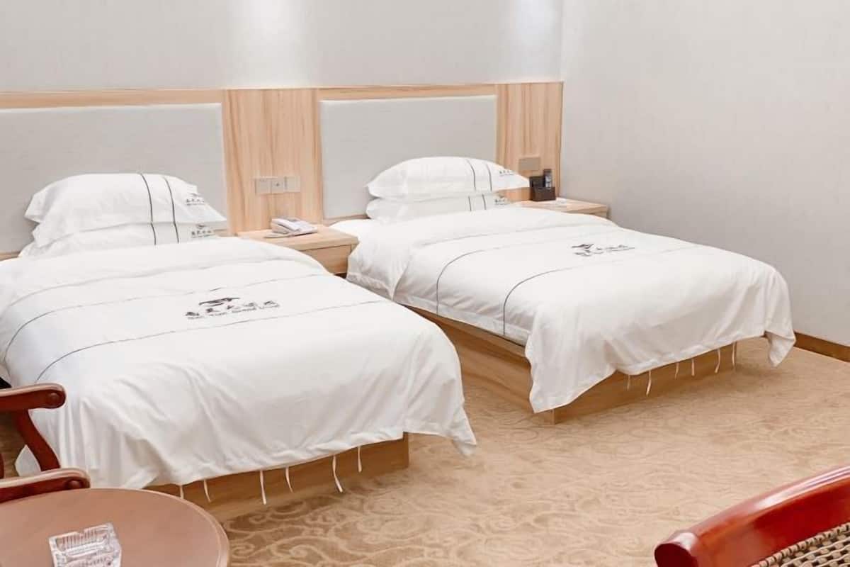 Une chambre d’hôtel avec deux lits simples, des têtes de lit en bois, une petite table de chevet avec une lampe, une chaise et un tapis à motifs.