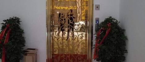 A hotel entrance with a decorative door, potted plants, and a red carpet.