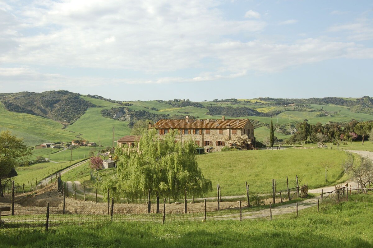 Bild für Gastgeberprofil