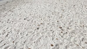 Ein Strand mit klarem, blauem Wasser, sandigem Ufer und Bergen im Hintergrund.