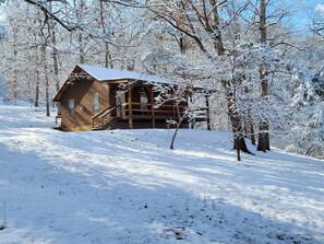 Exterior - #1 - Cozy cabin in the Ozark Mountains, giant spa tub, romantic and peaceful!! (Eureka Springs)