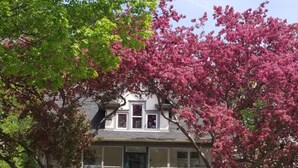 A two-story house with a front porch, a visible front door, and a small set of steps leading to the entrance. - 4BR NE Minneapolis Home - Sleeps 10, Workspaces, Fenced Yard & EV Charging (Minneapolis)