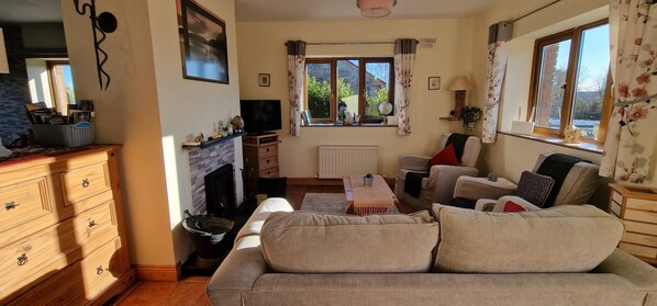 Televisión y chimenea 