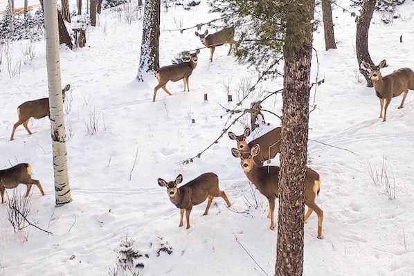 Escena nevada de un bosque con ciervos.