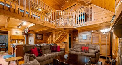 Fast Wifi Secluded Cabin Near Douglas Lake