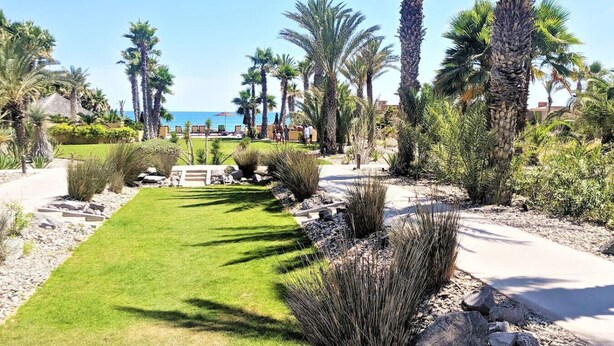 Un jardín bien cuidado con un césped central, rodeado de arbustos y palmeras, que conduce a una zona de piscina.