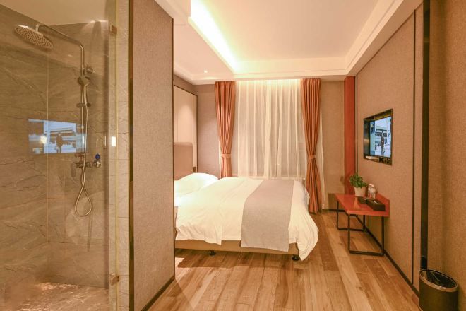 A hotel room with a shower, a bed, a bedside table with a plant, and a TV on the wall.