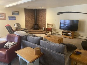 TV connectée, cheminée, lecteur de DVD, vidéothÚque