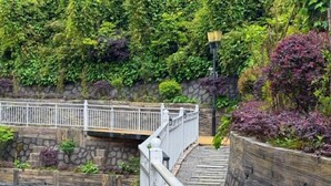 A stone wall with a wooden bridge, surrounded by lush greenery and a white fence. - Yajia Hotel (Kaiyang)