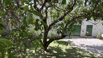 Apartemen Premium | 1 kamar tidur, seprai premium, minibar, dan Wi-Fi gratis