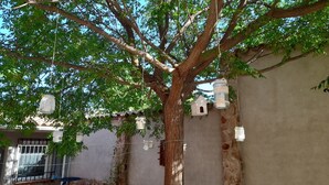 A tree with hanging lanterns and a rustic house with a stone wall.