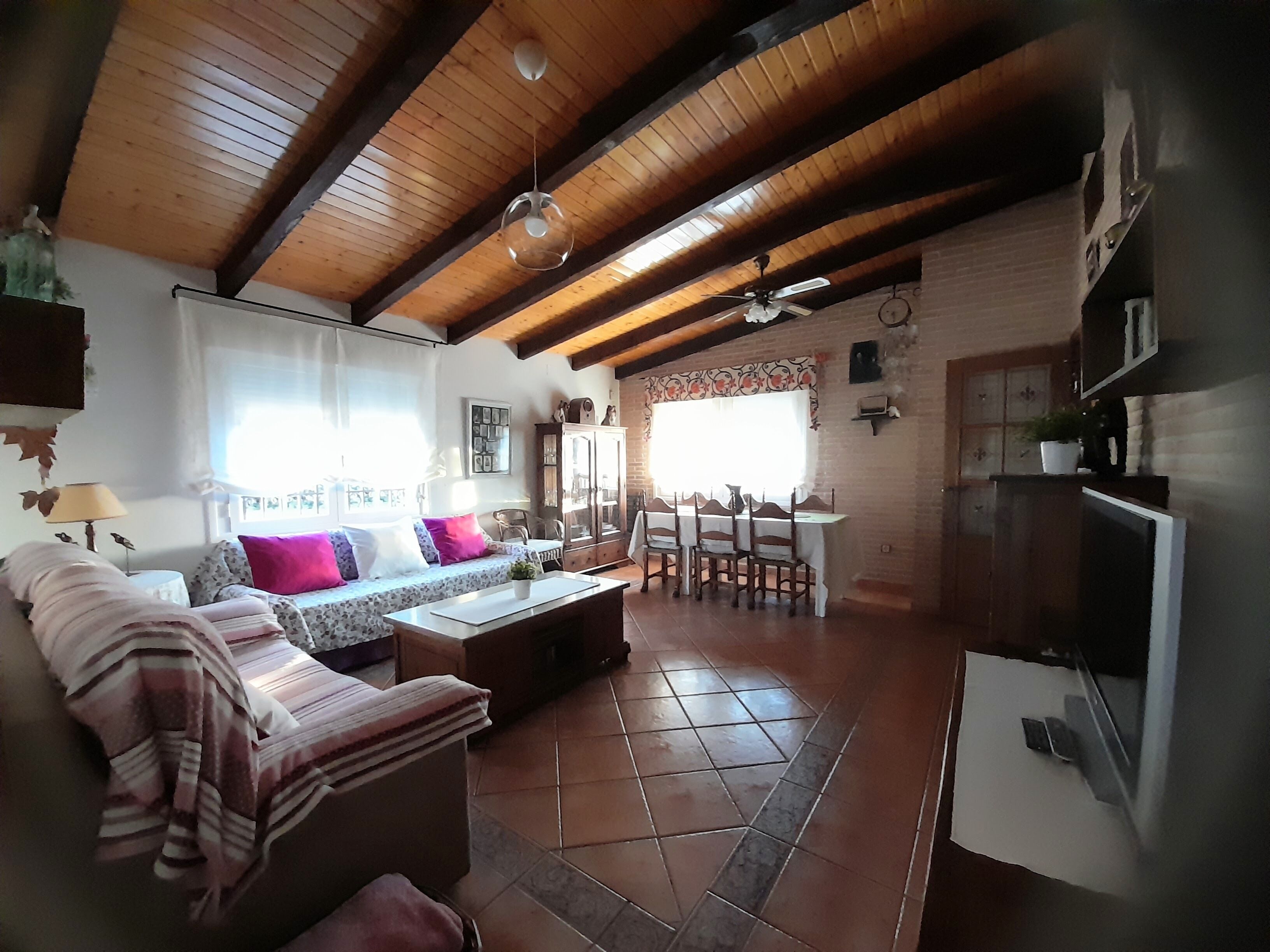 TV, fireplace, table tennis, books