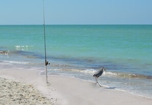 Unclassified image, 2 of 48, button