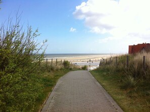 Playa